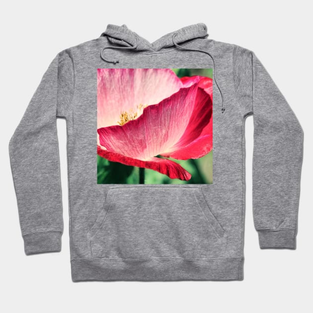 Red Poppy in Sunlight Hoodie by micklyn